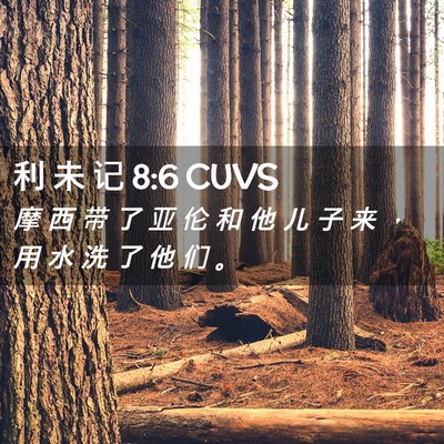 Picture 02 - 利 未 记 8:6 CUVS - 摩 西 带 了 亚 伦 和 他 儿 子 来 ， - Bible Verse Picture