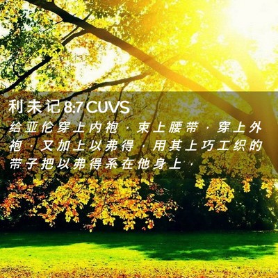 Picture 02 - 利 未 记 8:7 CUVS - 给 亚 伦 穿 上 内 袍 ， 束 上 腰 带 - Bible Verse Picture