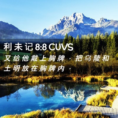 Picture 02 - 利 未 记 8:8 CUVS - 又 给 他 戴 上 胸 牌 ， 把 乌 陵 和 - Bible Verse Picture