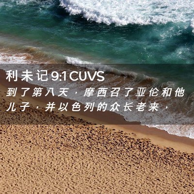 Picture 02 - 利 未 记 9:1 CUVS - 到 了 第 八 天 ， 摩 西 召 了 亚 伦 - Bible Verse Picture