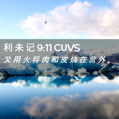 Picture 02 - 利 未 记 9:11 CUVS - 又 用 火 将 肉 和 皮 烧 在 营 外 - Bible Verse Picture