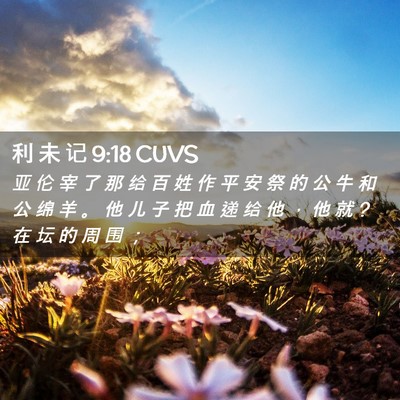 Picture 02 - 利 未 记 9:18 CUVS - 亚 伦 宰 了 那 给 百 姓 作 平 安 祭 - Bible Verse Picture
