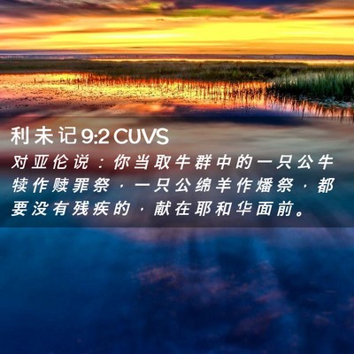 Picture 02 - 利 未 记 9:2 CUVS - 对 亚 伦 说 ： 你 当 取 牛 群 中 的 - Bible Verse Picture