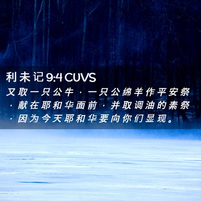 Picture 02 - 利 未 记 9:4 CUVS - 又 取 一 只 公 牛 ， 一 只 公 绵 羊 - Bible Verse Picture