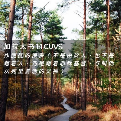 Picture 02 - 加 拉 太 书 1:1 CUVS - 作 使 徒 的 保 罗 （ 不 是 由 於 人 - Bible Verse Picture