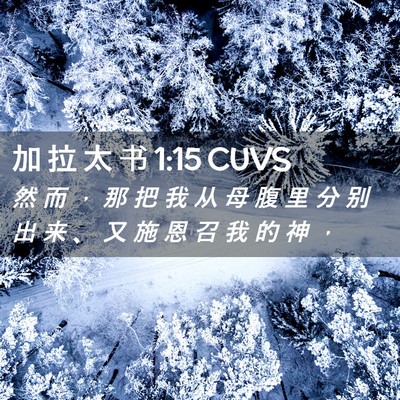 Picture 02 - 加 拉 太 书 1:15 CUVS - 然 而 ， 那 把 我 从 母 腹 里 分 别 - Bible Verse Picture