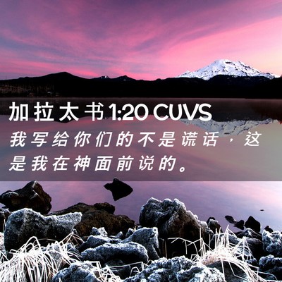 Picture 02 - 加 拉 太 书 1:20 CUVS - 我 写 给 你 们 的 不 是 谎 话 ， 这 - Bible Verse Picture
