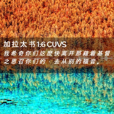 Picture 02 - 加 拉 太 书 1:6 CUVS - 我 希 奇 你 们 这 麽 快 离 开 那 藉 - Bible Verse Picture