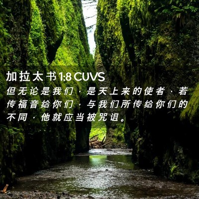 Picture 02 - 加 拉 太 书 1:8 CUVS - 但 无 论 是 我 们 ， 是 天 上 来 的 - Bible Verse Picture