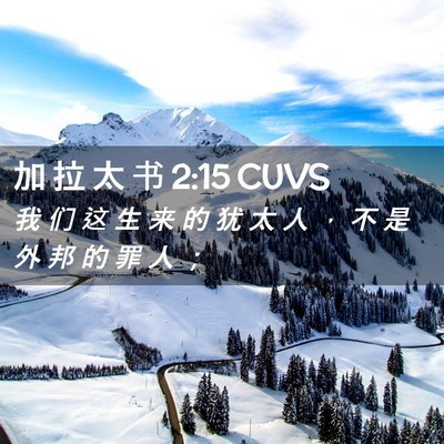 Picture 02 - 加 拉 太 书 2:15 CUVS - 我 们 这 生 来 的 犹 太 人 ， 不 是 - Bible Verse Picture
