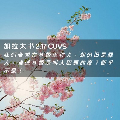 Picture 02 - 加 拉 太 书 2:17 CUVS - 我 们 若 求 在 基 督 里 称 义 ， 却 - Bible Verse Picture
