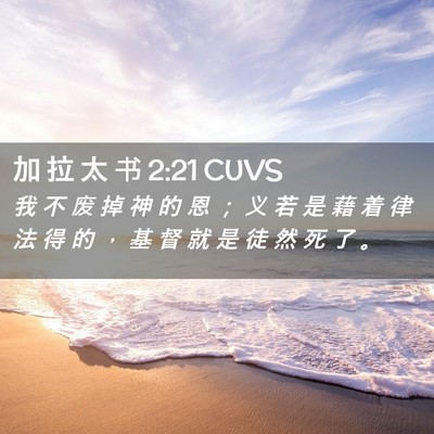 Picture 02 - 加 拉 太 书 2:21 CUVS - 我 不 废 掉 神 的 恩 ； 义 若 是 藉 - Bible Verse Picture