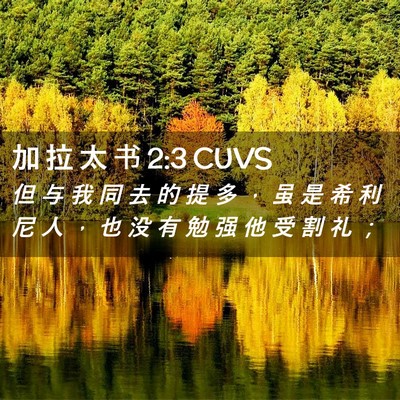 Picture 02 - 加 拉 太 书 2:3 CUVS - 但 与 我 同 去 的 提 多 ， 虽 是 希 - Bible Verse Picture