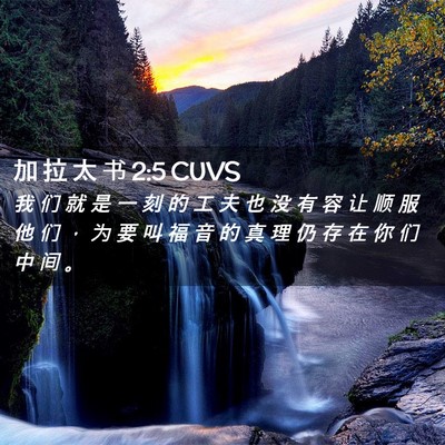 Picture 02 - 加 拉 太 书 2:5 CUVS - 我 们 就 是 一 刻 的 工 夫 也 没 有 - Bible Verse Picture