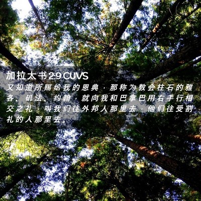 Picture 02 - 加 拉 太 书 2:9 CUVS - 又 知 道 所 赐 给 我 的 恩 典 ， 那 - Bible Verse Picture