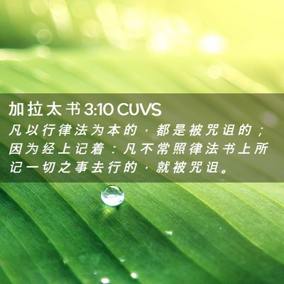 Picture 02 - 加 拉 太 书 3:10 CUVS - 凡 以 行 律 法 为 本 的 ， 都 是 被 - Bible Verse Picture