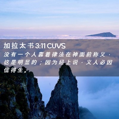 Picture 02 - 加 拉 太 书 3:11 CUVS - 没 有 一 个 人 靠 着 律 法 在 神 面 - Bible Verse Picture