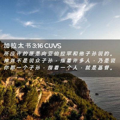 Picture 02 - 加 拉 太 书 3:16 CUVS - 所 应 许 的 原 是 向 亚 伯 拉 罕 和 - Bible Verse Picture