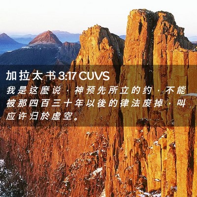 Picture 02 - 加 拉 太 书 3:17 CUVS - 我 是 这 麽 说 ， 神 预 先 所 立 的 - Bible Verse Picture