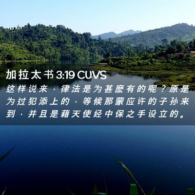 Picture 02 - 加 拉 太 书 3:19 CUVS - 这 样 说 来 ， 律 法 是 为 甚 麽 有 - Bible Verse Picture