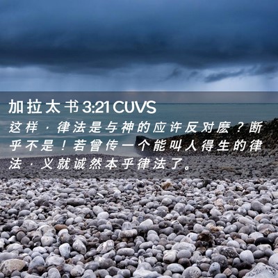 Picture 02 - 加 拉 太 书 3:21 CUVS - 这 样 ， 律 法 是 与 神 的 应 许 反 - Bible Verse Picture