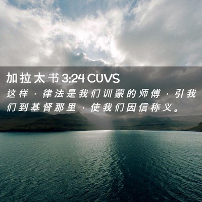 Picture 02 - 加 拉 太 书 3:24 CUVS - 这 样 ， 律 法 是 我 们 训 蒙 的 师 - Bible Verse Picture