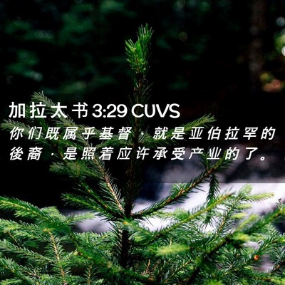 Picture 02 - 加 拉 太 书 3:29 CUVS - 你 们 既 属 乎 基 督 ， 就 是 亚 伯 - Bible Verse Picture