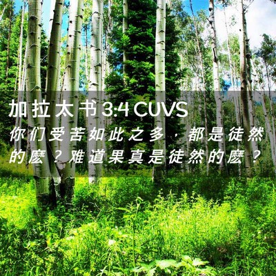 Picture 02 - 加 拉 太 书 3:4 CUVS - 你 们 受 苦 如 此 之 多 ， 都 是 徒 - Bible Verse Picture