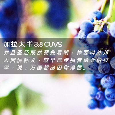 Picture 02 - 加 拉 太 书 3:8 CUVS - 并 且 圣 经 既 然 预 先 看 明 ， 神 - Bible Verse Picture