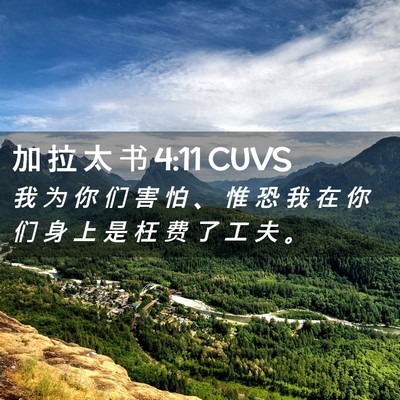 Picture 02 - 加 拉 太 书 4:11 CUVS - 我 为 你 们 害 怕 、 惟 恐 我 在 你 - Bible Verse Picture