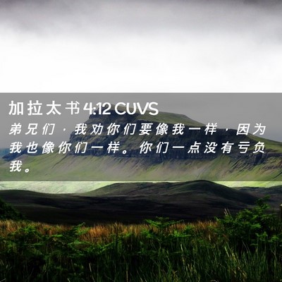 Picture 02 - 加 拉 太 书 4:12 CUVS - 弟 兄 们 ， 我 劝 你 们 要 像 我 一 - Bible Verse Picture