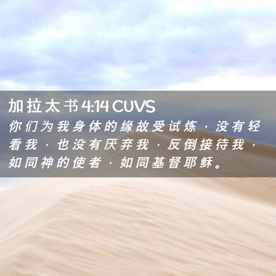 Picture 02 - 加 拉 太 书 4:14 CUVS - 你 们 为 我 身 体 的 缘 故 受 试 炼 - Bible Verse Picture