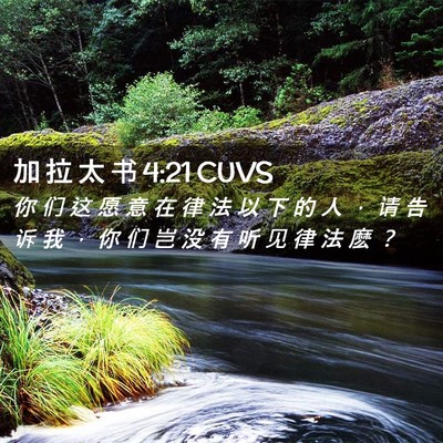 Picture 02 - 加 拉 太 书 4:21 CUVS - 你 们 这 愿 意 在 律 法 以 下 的 人 - Bible Verse Picture