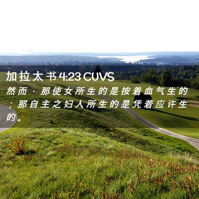 Picture 02 - 加 拉 太 书 4:23 CUVS - 然 而 ， 那 使 女 所 生 的 是 按 着 - Bible Verse Picture