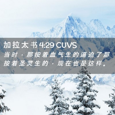 Picture 02 - 加 拉 太 书 4:29 CUVS - 当 时 ， 那 按 着 血 气 生 的 逼 迫 - Bible Verse Picture