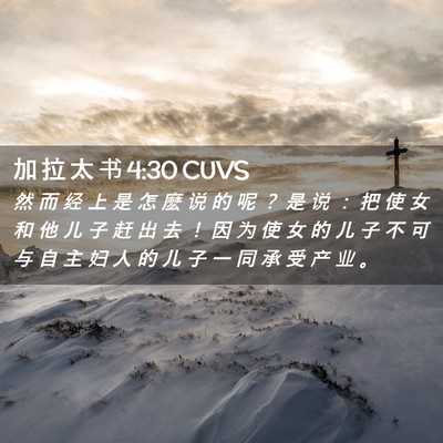 Picture 02 - 加 拉 太 书 4:30 CUVS - 然 而 经 上 是 怎 麽 说 的 呢 ？ 是 - Bible Verse Picture