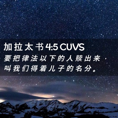 Picture 02 - 加 拉 太 书 4:5 CUVS - 要 把 律 法 以 下 的 人 赎 出 来 ， - Bible Verse Picture