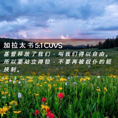 Picture 02 - 加 拉 太 书 5:1 CUVS - 基 督 释 放 了 我 们 ， 叫 我 们 得 - Bible Verse Picture