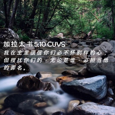 Picture 02 - 加 拉 太 书 5:10 CUVS - 我 在 主 里 很 信 你 们 必 不 怀 别 - Bible Verse Picture