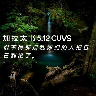 Picture 02 - 加 拉 太 书 5:12 CUVS - 恨 不 得 那 搅 乱 你 们 的 人 把 自 - Bible Verse Picture