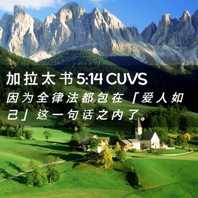 Picture 02 - 加 拉 太 书 5:14 CUVS - 因 为 全 律 法 都 包 在 「 爱 人 如 - Bible Verse Picture