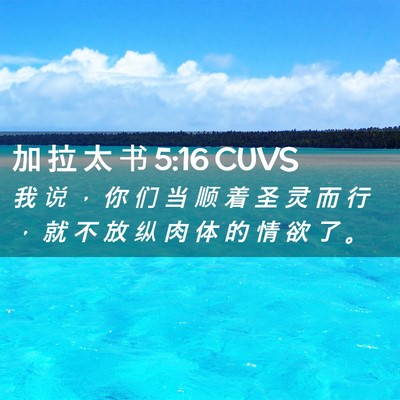 Picture 02 - 加 拉 太 书 5:16 CUVS - 我 说 ， 你 们 当 顺 着 圣 灵 而 行 - Bible Verse Picture