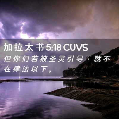 Picture 02 - 加 拉 太 书 5:18 CUVS - 但 你 们 若 被 圣 灵 引 导 ， 就 不 - Bible Verse Picture