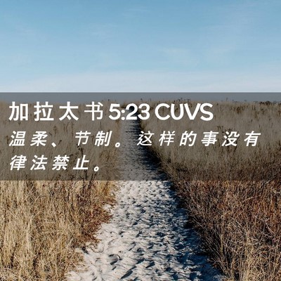 Picture 02 - 加 拉 太 书 5:23 CUVS - 温 柔 、 节 制 。 这 样 的 事 没 有 - Bible Verse Picture