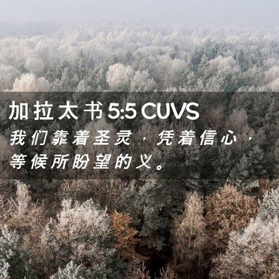 Picture 02 - 加 拉 太 书 5:5 CUVS - 我 们 靠 着 圣 灵 ， 凭 着 信 心 ， - Bible Verse Picture