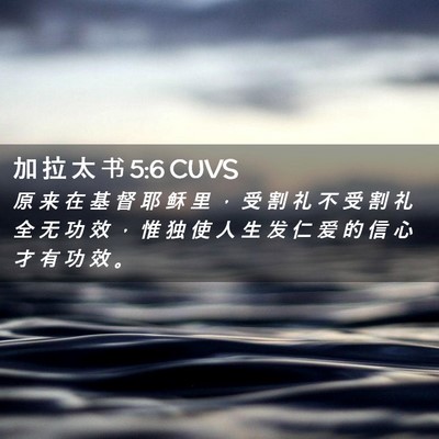 Picture 02 - 加 拉 太 书 5:6 CUVS - 原 来 在 基 督 耶 稣 里 ， 受 割 礼 - Bible Verse Picture