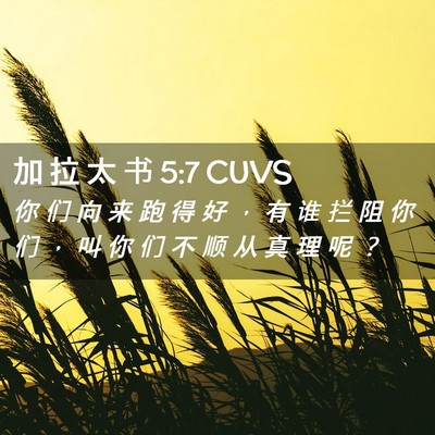 Picture 02 - 加 拉 太 书 5:7 CUVS - 你 们 向 来 跑 得 好 ， 有 谁 拦 阻 - Bible Verse Picture