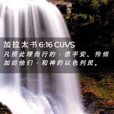 Picture 02 - 加 拉 太 书 6:16 CUVS - 凡 照 此 理 而 行 的 ， 愿 平 安 、 - Bible Verse Picture