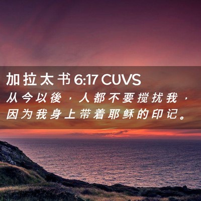 Picture 02 - 加 拉 太 书 6:17 CUVS - 从 今 以 後 ， 人 都 不 要 搅 扰 我 - Bible Verse Picture