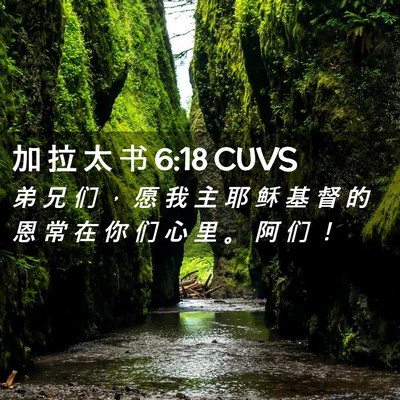Picture 02 - 加 拉 太 书 6:18 CUVS - 弟 兄 们 ， 愿 我 主 耶 稣 基 督 的 - Bible Verse Picture